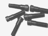 Barrel Band screw (ML2)