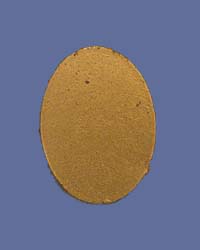 Escutcheon Plain Shotgun nlr