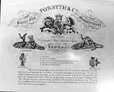 Forsyth & Co.(NLR)